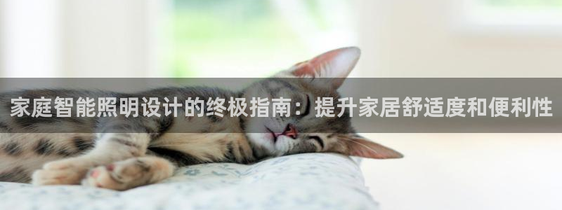 家庭智能照明设计的终极指南：提升家居舒适度和便利性