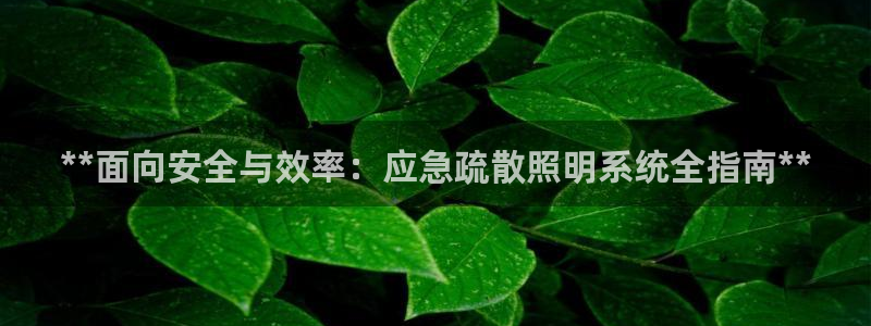 **面向安全与效率：应急疏散照明系统全指南**