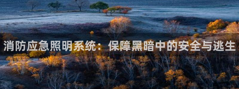 消防应急照明系统：保障黑暗中的安全与逃生