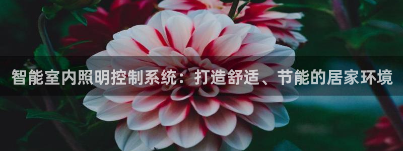 智能室内照明控制系统：打造舒适、节能的居家环境