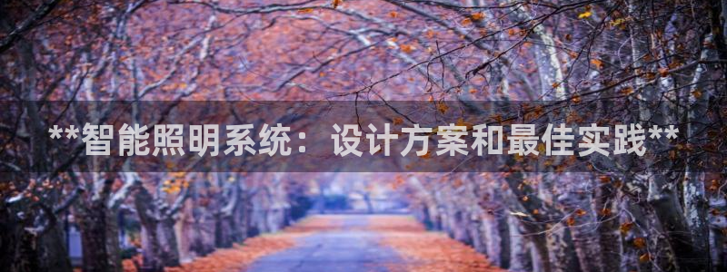 **智能照明系统：设计方案和最佳实践**