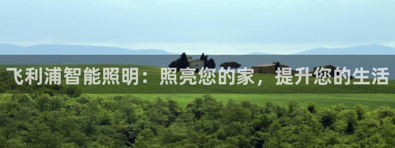 飞利浦智能照明：照亮您的家，提升您的生活