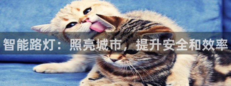 智能路灯：照亮城市，提升安全和效率