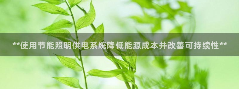 **使用节能照明供电系统降低能源成本并改善可持续性**