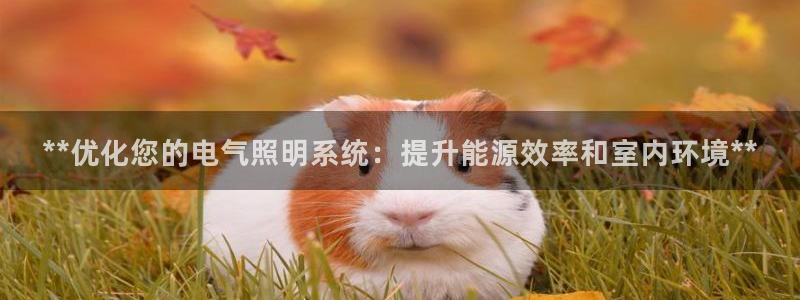 **优化您的电气照明系统：提升能源效率和室内环境**