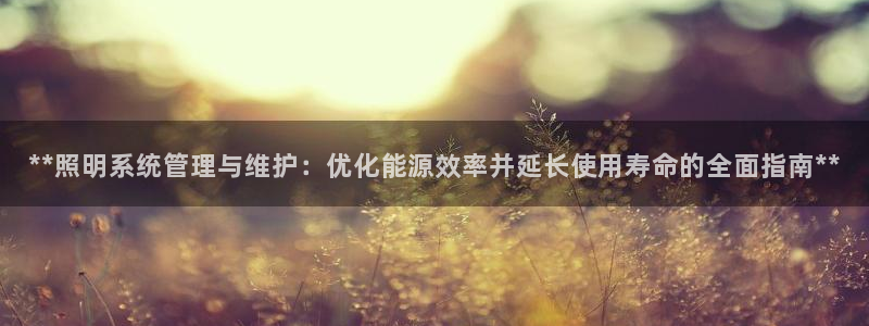 **照明系统管理与维护：优化能源效率并延长使用寿命的全面指南**