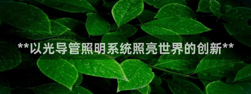 **以光导管照明系统照亮世界的创新**