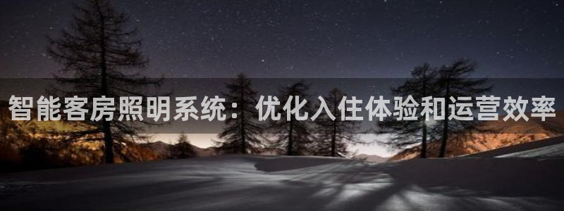 智能客房照明系统：优化入住体验和运营效率