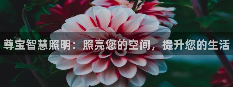 尊宝智慧照明：照亮您的空间，提升您的生活