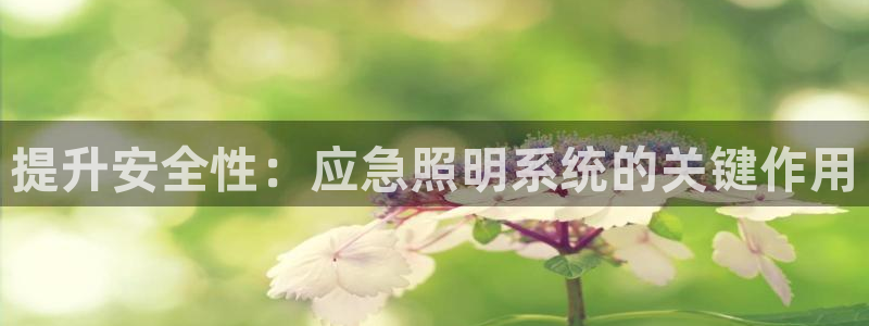 提升安全性：应急照明系统的关键作用
