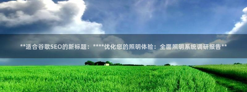**适合谷歌SEO的新标题：****优化您的照明体验：全面照明系统调研报告**