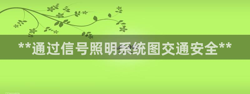**通过信号照明系统图交通安全**