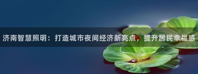 济南智慧照明：打造城市夜间经济新亮点，提升居民幸福感