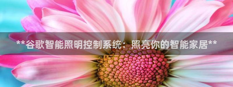 **谷歌智能照明控制系统：照亮你的智能家居**