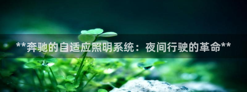 **奔驰的自适应照明系统：夜间行驶的革命**