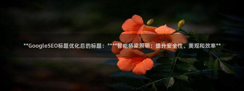 **GoogleSEO标题优化后的标题：****智能桥梁照明：提升安全性、美观和效率**