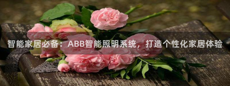 智能家居必备：ABB智能照明系统，打造个性化家居体验