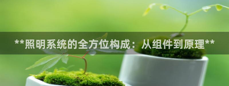 **照明系统的全方位构成：从组件到原理**