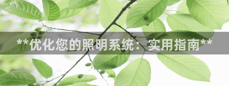 **优化您的照明系统：实用指南**