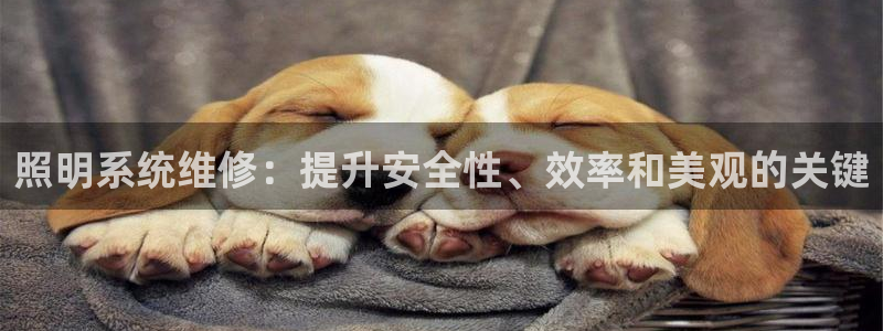 照明系统维修：提升安全性、效率和美观的关键