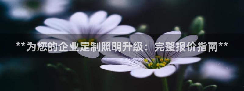 **为您的企业定制照明升级：完整报价指南**