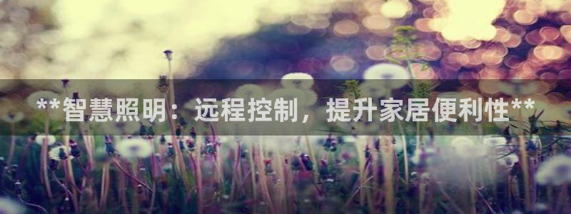 **智慧照明：远程控制，提升家居便利性**