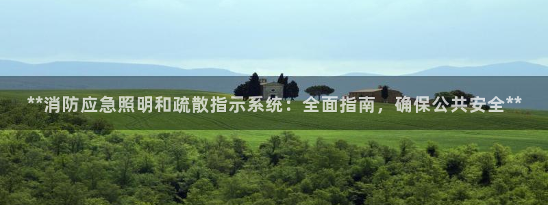 **消防应急照明和疏散指示系统：全面指南，确保公共安全**