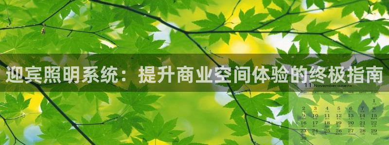 迎宾照明系统：提升商业空间体验的终极指南