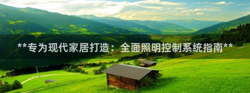 **专为现代家居打造：全面照明控制系统指南**