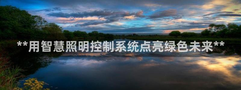 **用智慧照明控制系统点亮绿色未来**