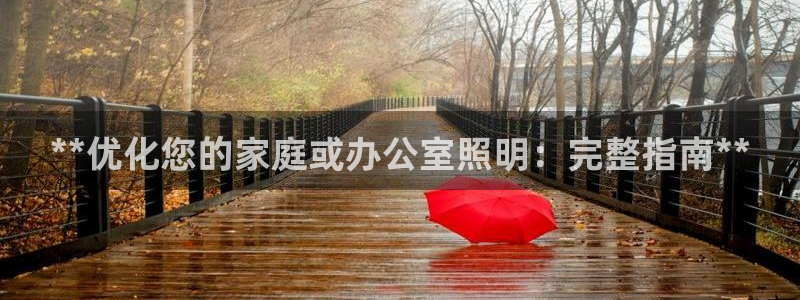 **优化您的家庭或办公室照明：完整指南**