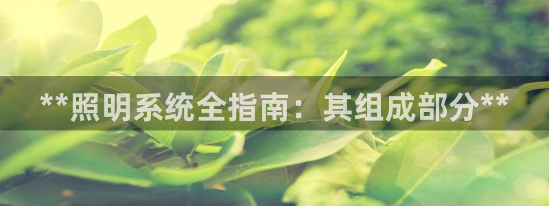 **照明系统全指南：其组成部分**
