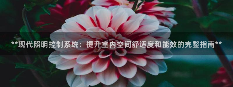 **现代照明控制系统：提升室内空间舒适度和能效的完整指南**
