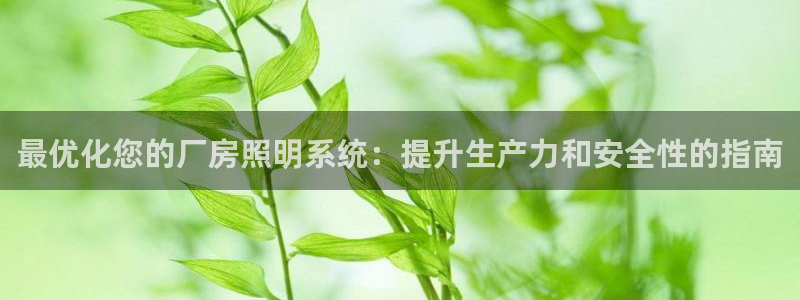最优化您的厂房照明系统：提升生产力和安全性的指南