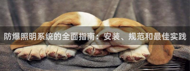 防爆照明系统的全面指南：安装、规范和最佳实践