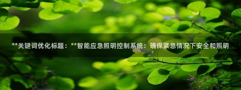 **关键词优化标题：**智能应急照明控制系统：确保紧急情况下安全和照明