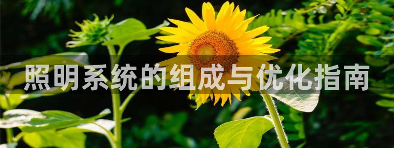 照明系统的组成与优化指南