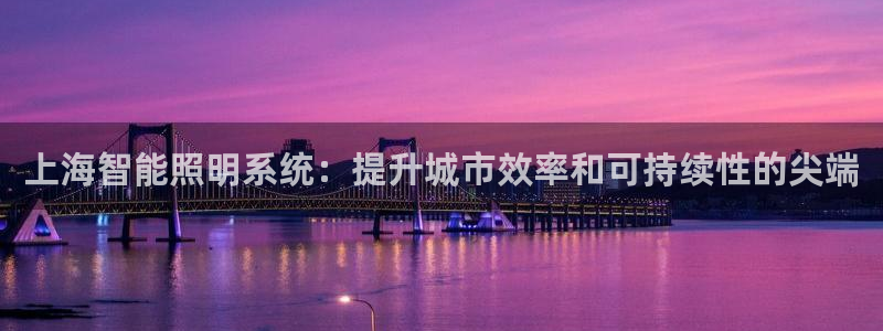 上海智能照明系统：提升城市效率和可持续性的尖端