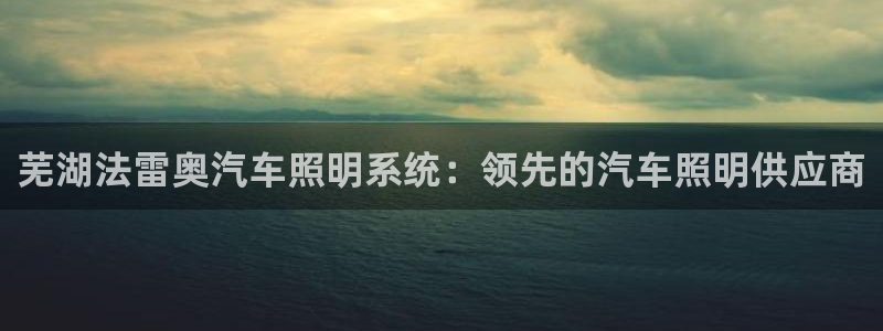 芜湖法雷奥汽车照明系统：领先的汽车照明供应商