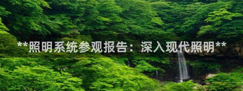 **照明系统参观报告：深入现代照明**