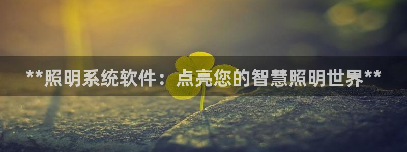 **照明系统软件：点亮您的智慧照明世界**