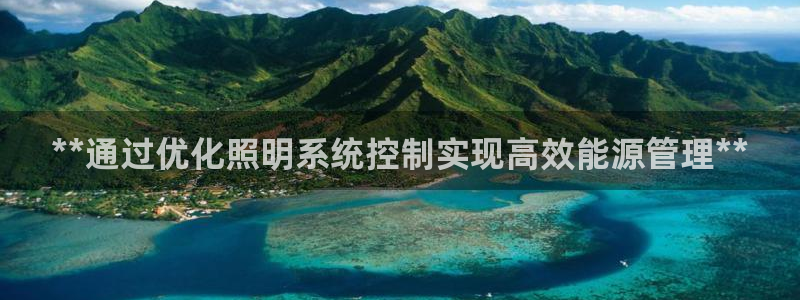 **通过优化照明系统控制实现高效能源管理**