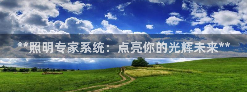 **照明专家系统：点亮你的光辉未来**