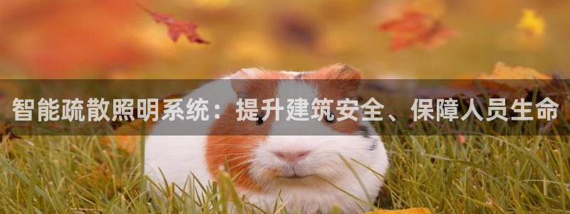 智能疏散照明系统：提升建筑安全、保障人员生命