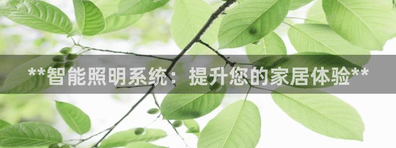 **智能照明系统：提升您的家居体验**