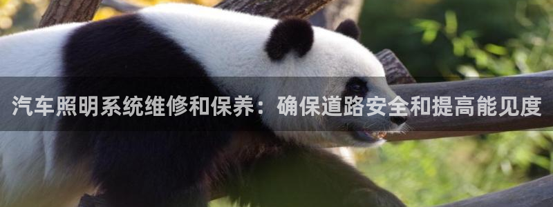 汽车照明系统维修和保养：确保道路安全和提高能见度
