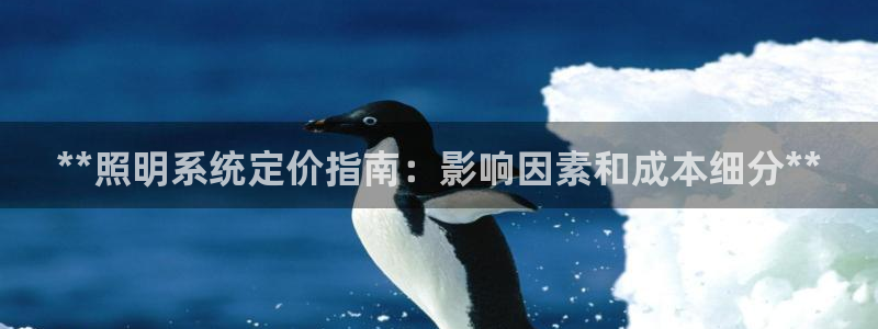 **照明系统定价指南：影响因素和成本细分**