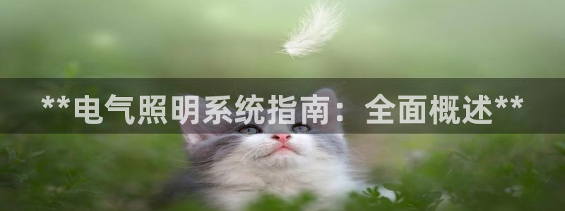 **电气照明系统指南：全面概述**