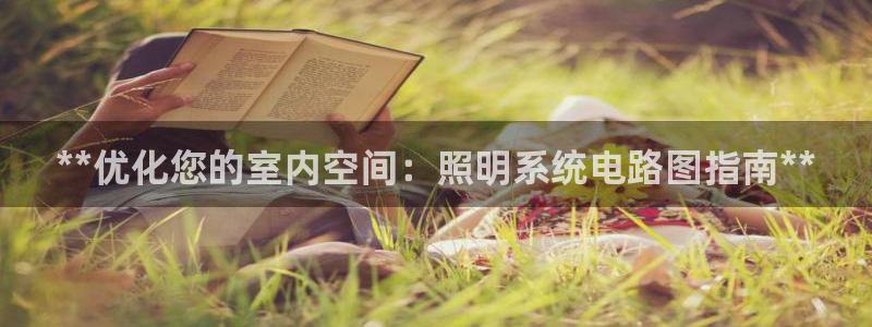 **优化您的室内空间：照明系统电路图指南**