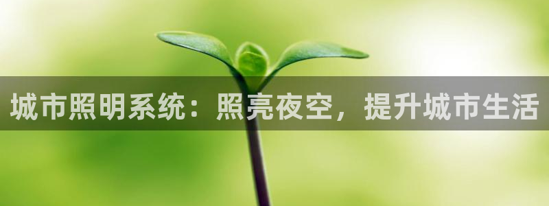 城市照明系统：照亮夜空，提升城市生活